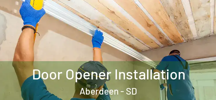  Door Opener Installation Aberdeen - SD