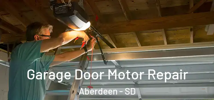  Garage Door Motor Repair Aberdeen - SD