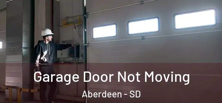  Garage Door Not Moving Aberdeen - SD