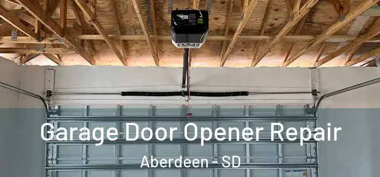  Garage Door Opener Repair Aberdeen - SD