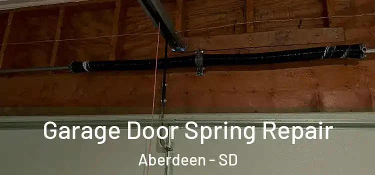  Garage Door Spring Repair Aberdeen - SD