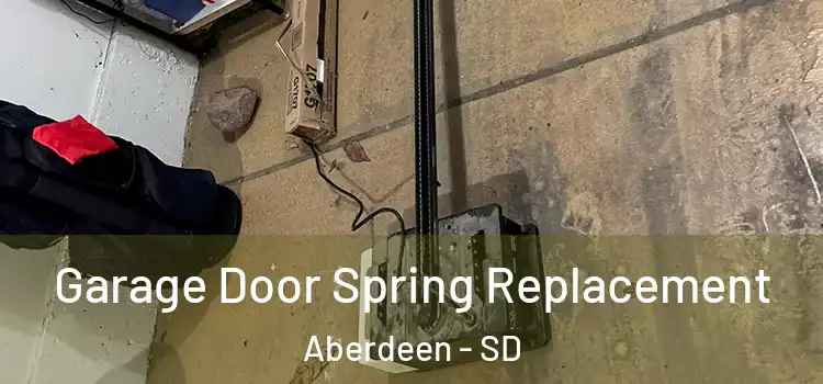  Garage Door Spring Replacement Aberdeen - SD