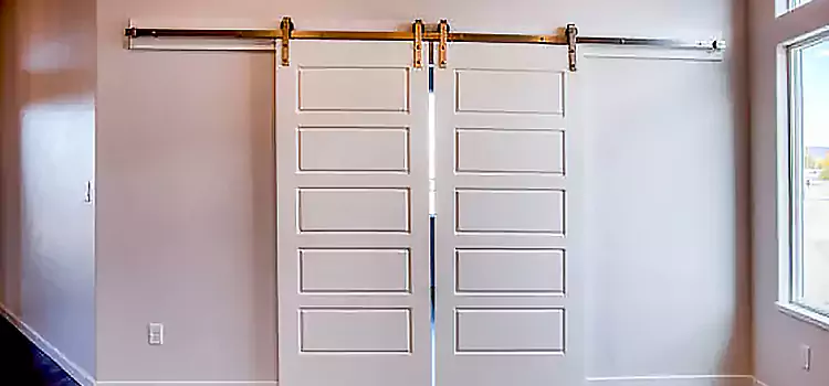 Glass Barn Door with Installation Hardware Kit Aberdeen