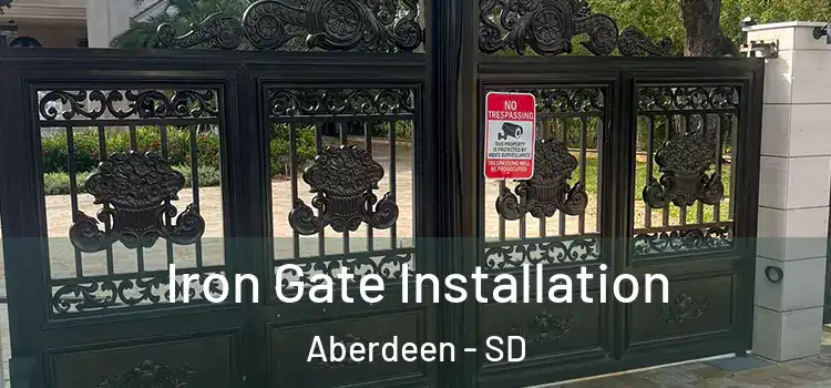  Iron Gate Installation Aberdeen - SD